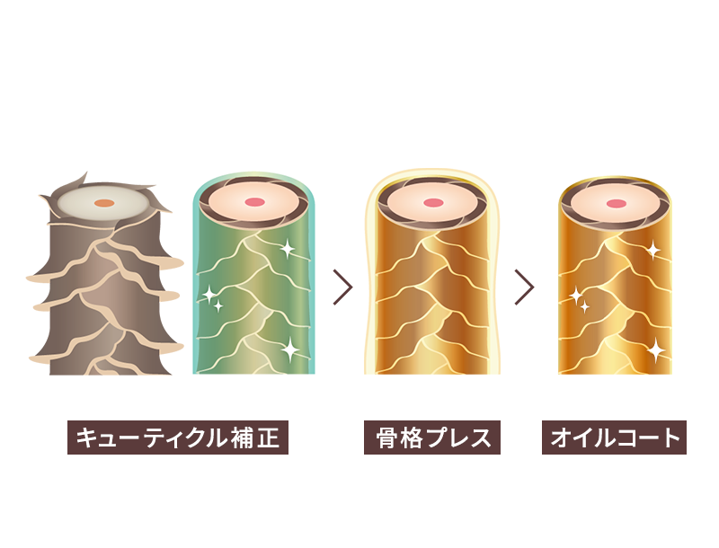 キューティクル補正から骨格プレス、オイルコートへと髪表面が整う流れ