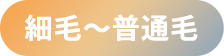 細毛〜普通毛